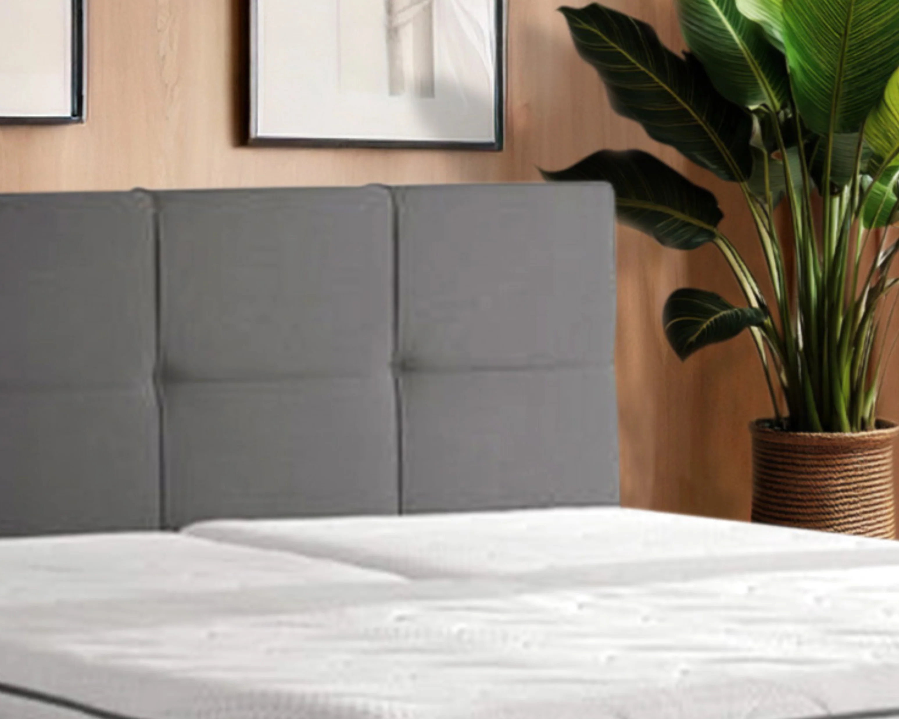 Y-NOT - Elektrische Boxspring - Aurea - Complete set - Nº19 Caviar Dark Gray - Image 7