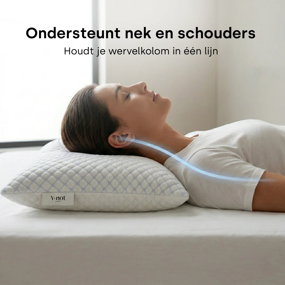 Y-NOT Dreampillow Cloud - Image 3