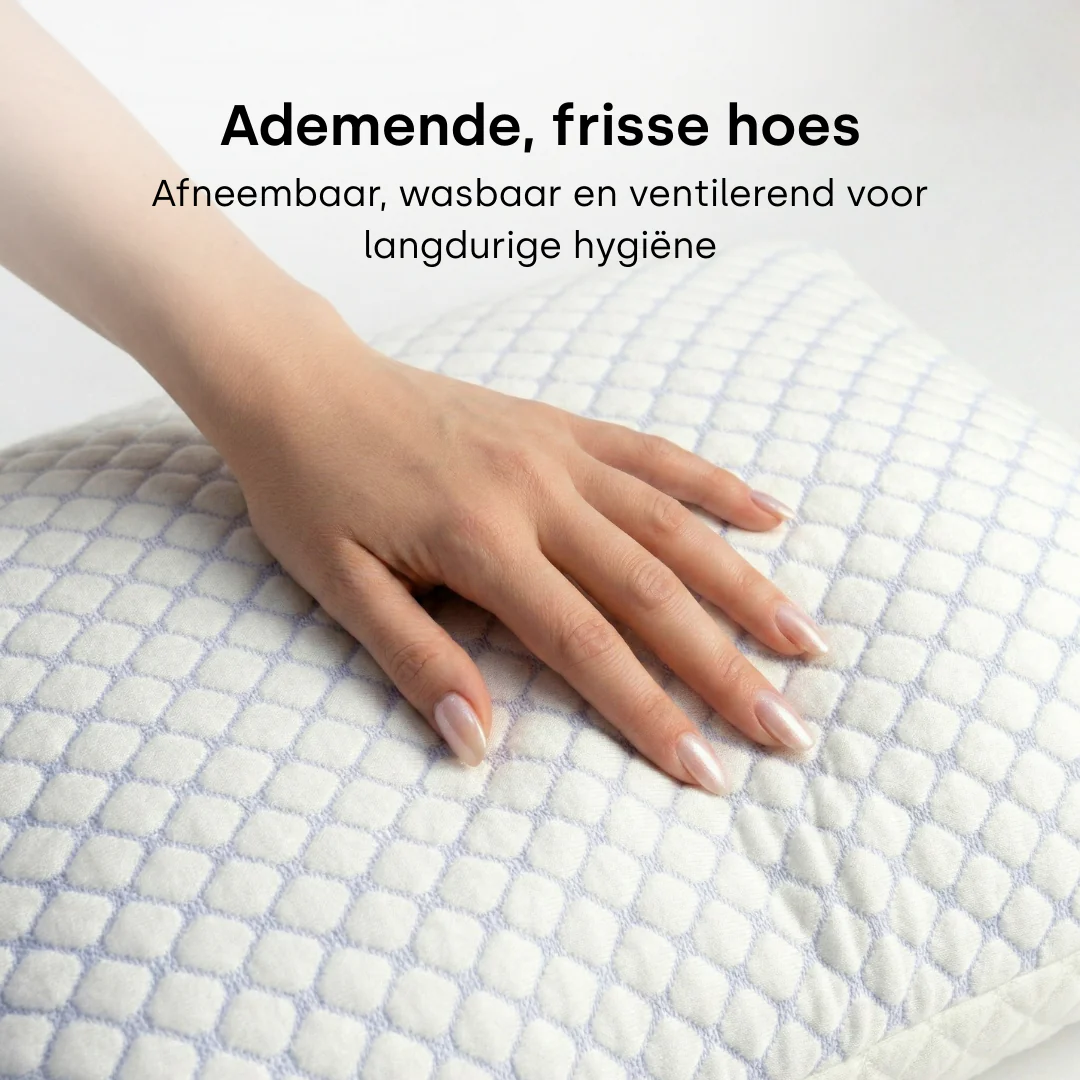 Y-NOT Dreampillow Cloud - Image 9