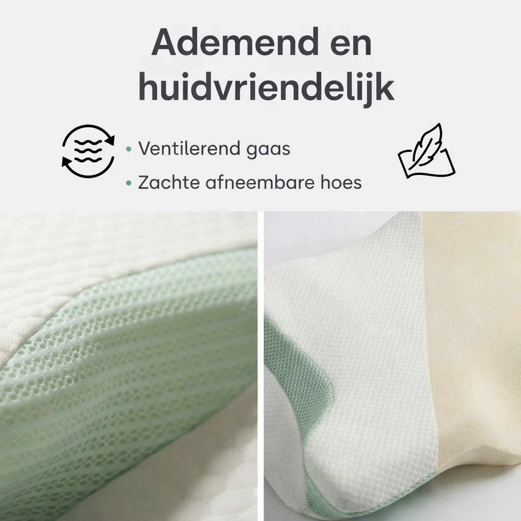 Y-NOT Dreampillow Ergonomic - Image 5