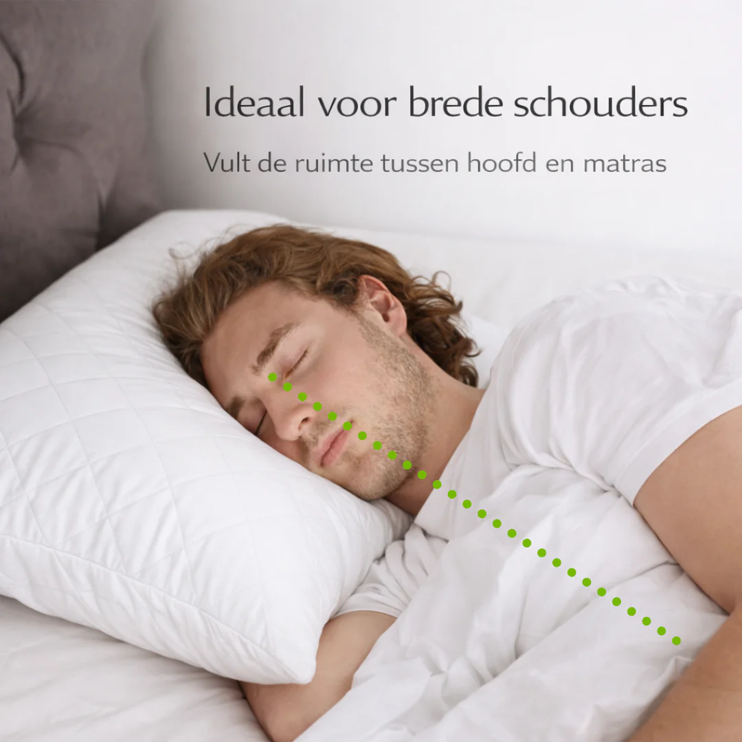 Y-NOT Dreampillow Latex - Image 4